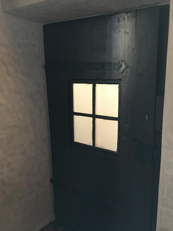U Dr. Fausta Apartment Славонице Екстериор снимка