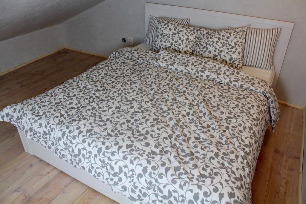 U Dr. Fausta Apartment Славонице Екстериор снимка